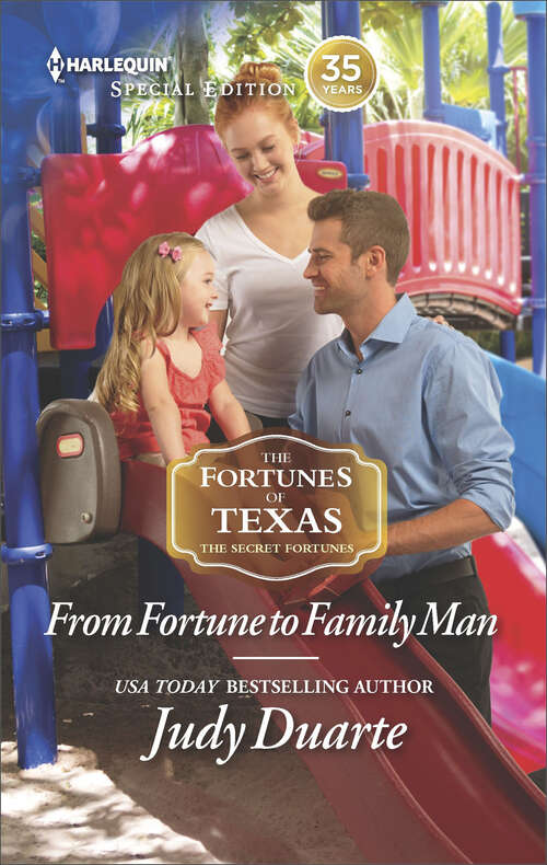 Book cover of From Fortune to Family Man: From Fortune To Family Man Married To The Mom-to-be The Princess Problem (The Fortunes of Texas: The Secret Fortunes)