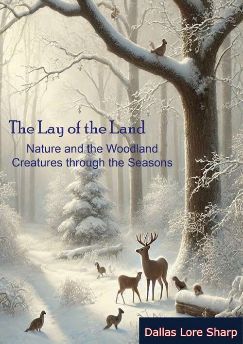 Book cover of The Lay of the Land: Nature and the Woodland Creatures through the Seasons