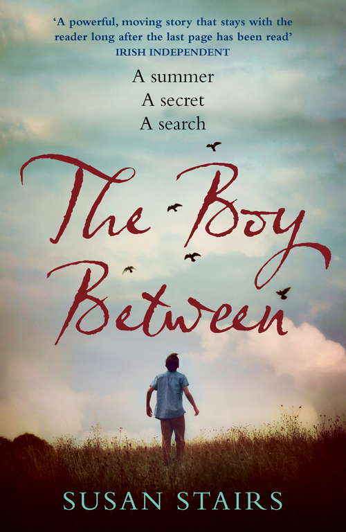 Book cover of The Boy Between: An expertly crafted, suspenseful story of family secrets and one fateful summer