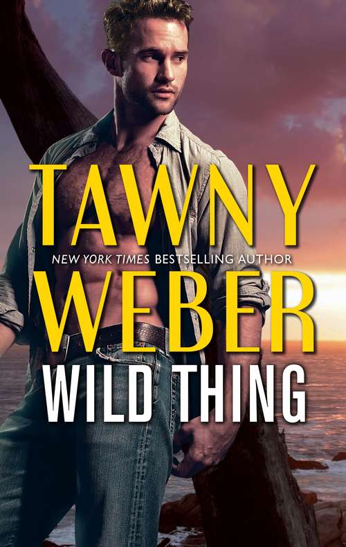 Book cover of Wild Thing: The Steadfast Hot Soldier Wild Thing (Bedtime Stories #688)