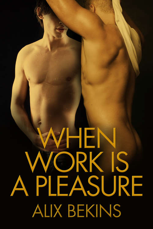 Book cover of When Work Is a Pleasure