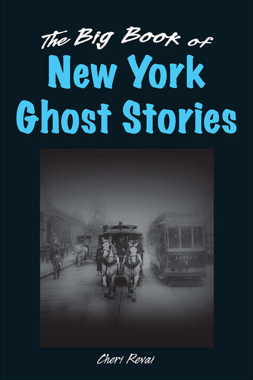 Book cover of Big Book of New York Ghost Stories (Big Book of Ghost Stories)