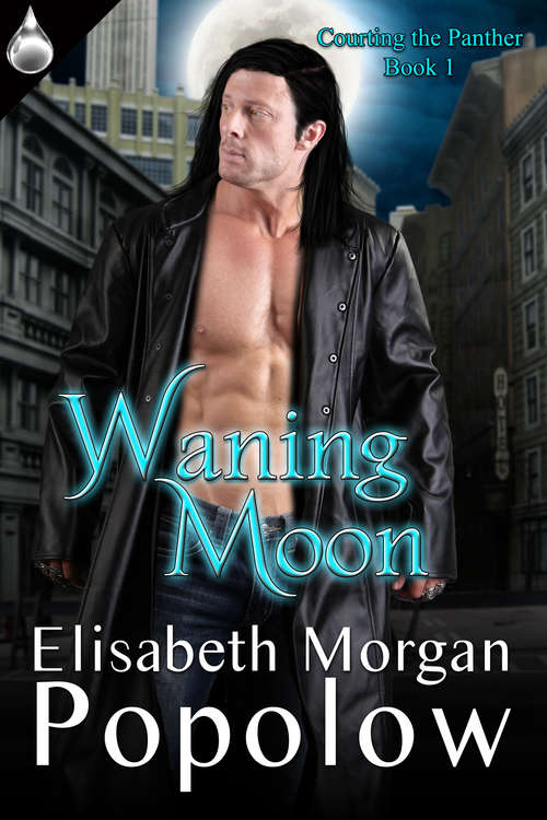 Book cover of Waning Moon