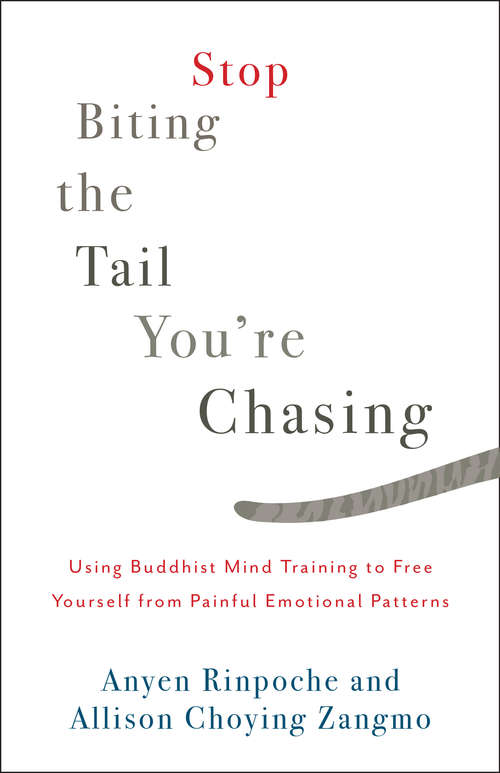 Book cover of Stop Biting the Tail You're Chasing: Using Buddhist Mind Training to Free Yourself from Painful Emotional Patterns