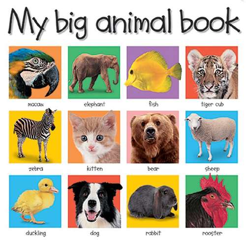 Book cover of My Big Animal Book