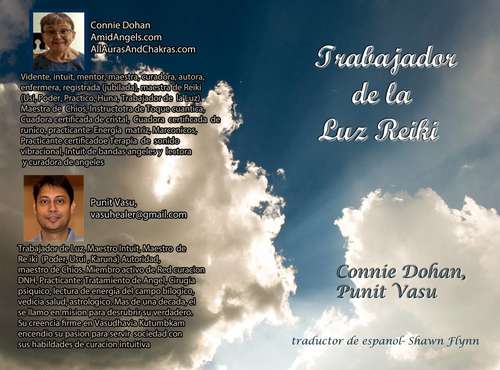 Book cover of Trabajador de Luz Reiki