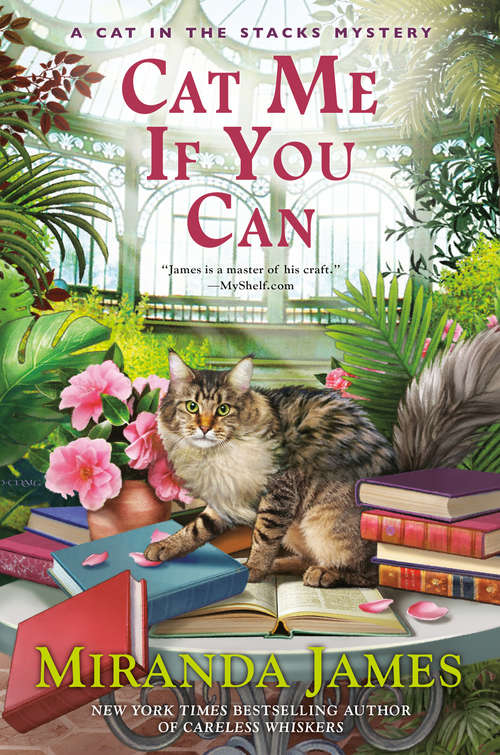Book cover of Cat Me If You Can (Cat in the Stacks Mystery #13)