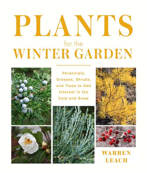 Book cover of Plants for the Winter Garden: Perennials, Grasses, Shrubs, and Trees to Add Interest in the Cold and Snow