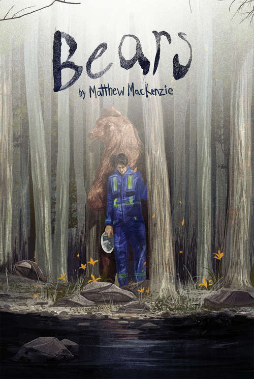 Book cover of Bears