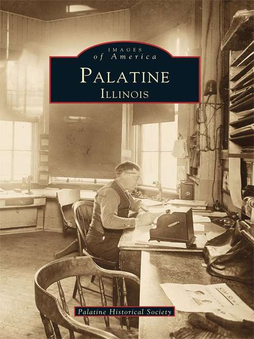 Book cover of Palatine, Illinois