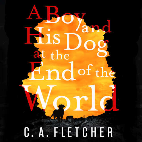 Book cover of A Boy and his Dog at the End of the World