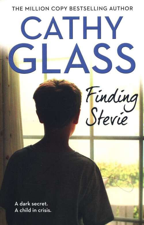 Book cover of Finding Stevie