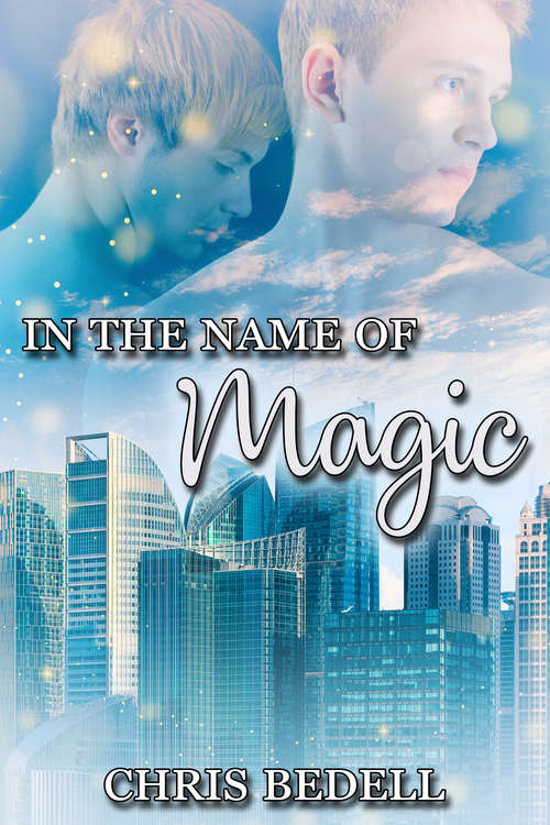 Book cover of In the Name of Magic