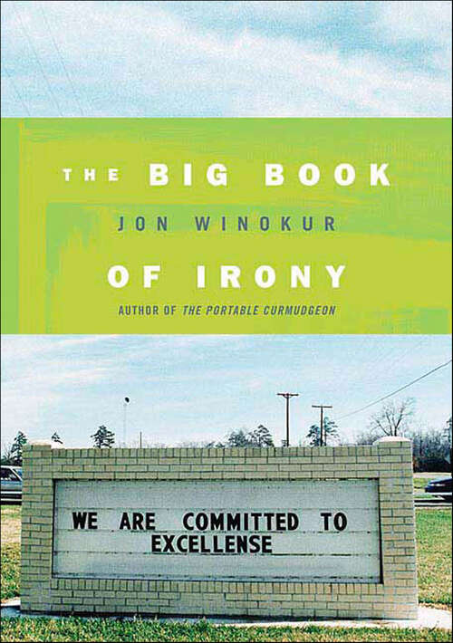 Book cover of The Big Book of Irony