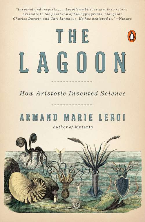 Book cover of The Lagoon