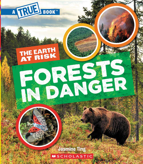 Book cover of Forests in Danger (A True Book (Relaunch))