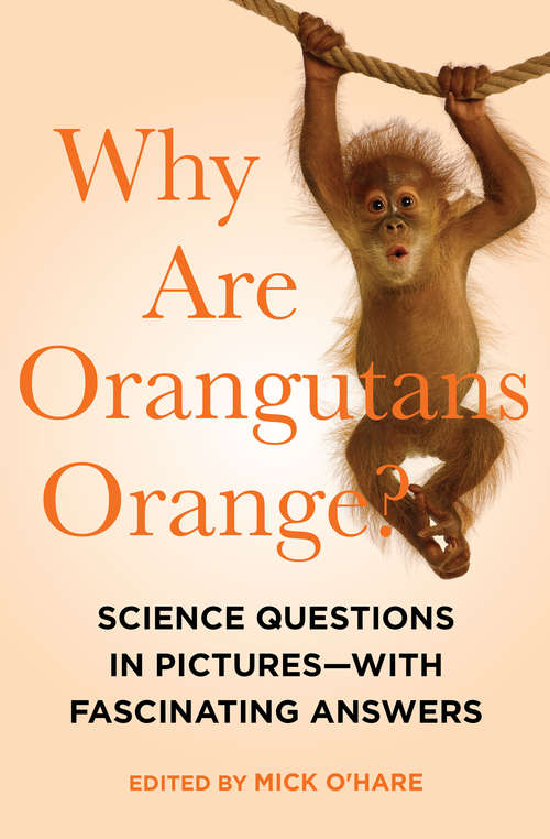 Book cover of Why Are Orangutans Orange?: Science Questions in Pictures—With Fascinating Answers