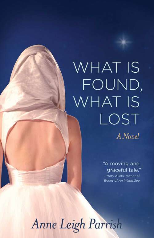 Book cover of What is Found, What is Lost: A Novel