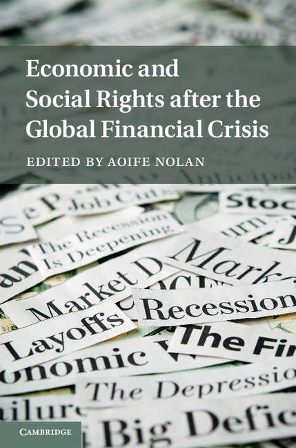 Book cover of Economic and Social Rights after the Global Financial Crisis