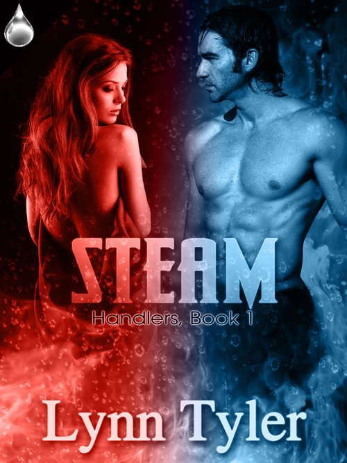 Book cover of Steam