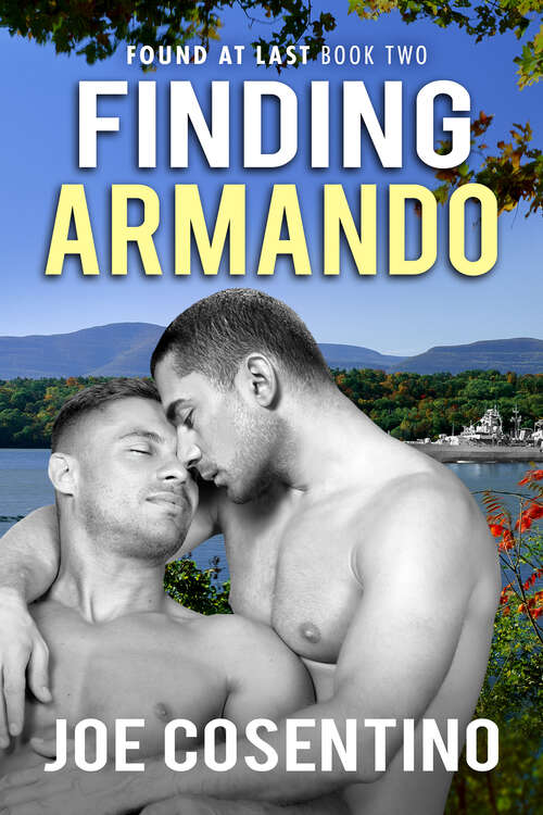 Book cover of Finding Armando (Found At Last #2)