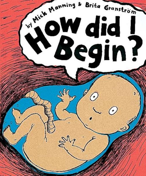 Book cover of How Did I Begin?