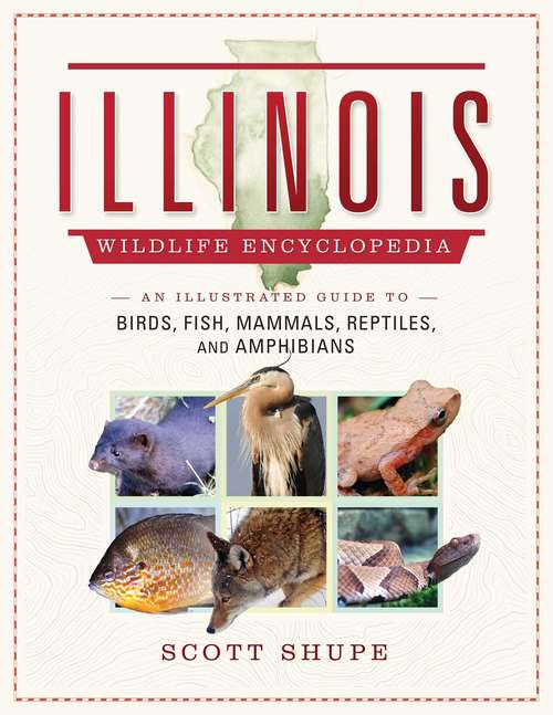 Book cover of The Illinois Wildlife Encyclopedia: An Illustrated Guide to Birds, Fish, Mammals, Reptiles, and Amphibians