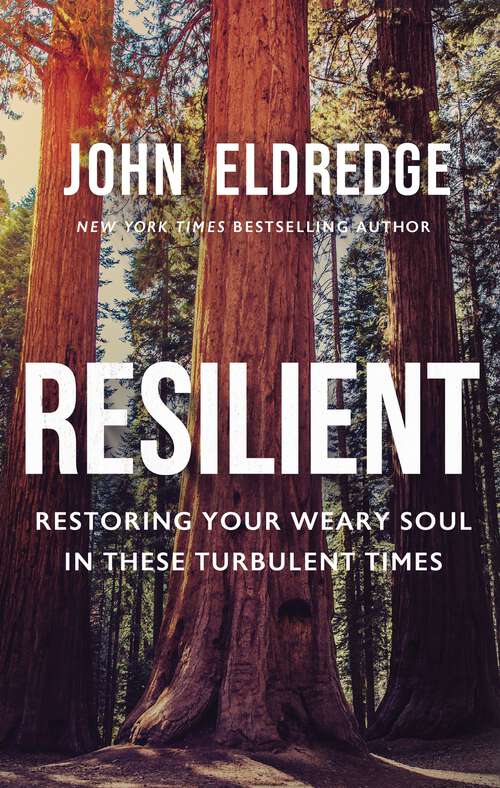 Book cover of Resilient: Restoring Your Weary Soul in These Turbulent Times