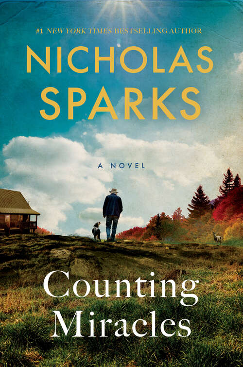 Book cover of Counting Miracles: A Novel