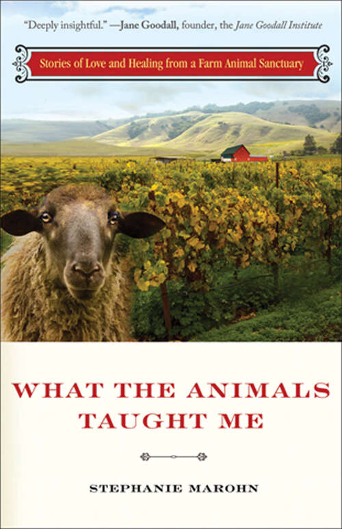 Book cover of What the Animals Taught Me: Stories of Love and Healing from a Farm Animal Santuary