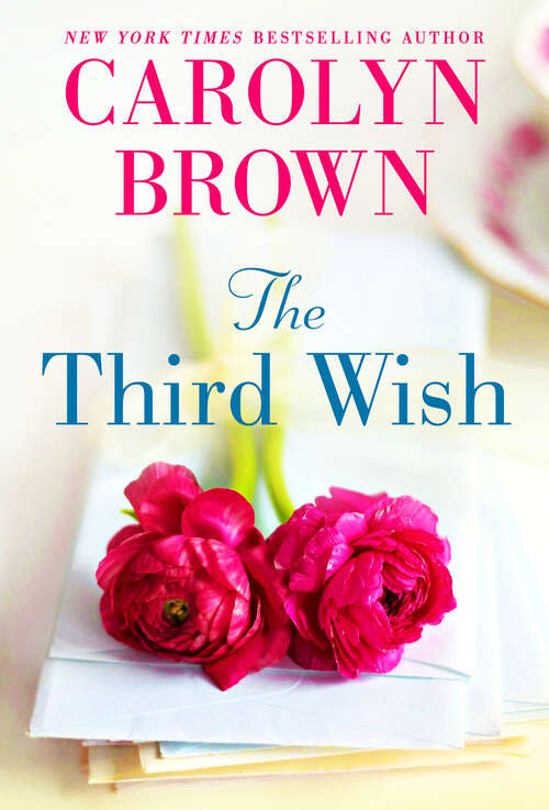 Book cover of The Third Wish