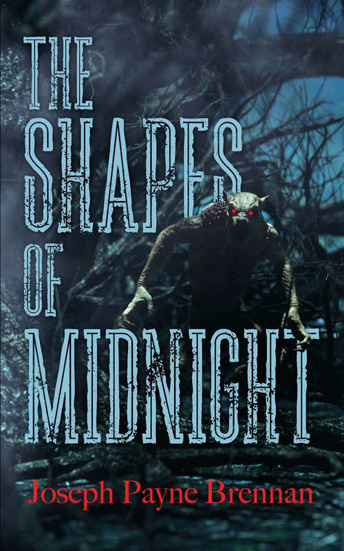 Book cover of The Shapes of Midnight