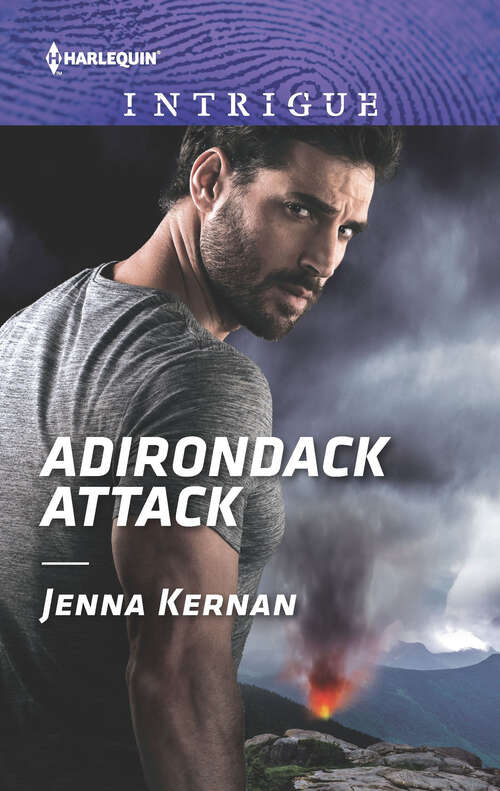 Book cover of Adirondack Attack (Original) (Protectors at Heart #2)