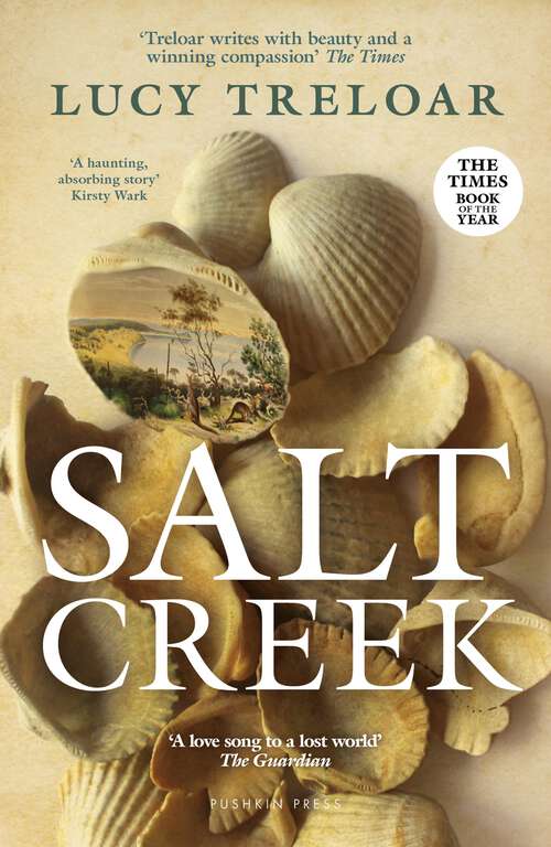 Book cover of Salt Creek