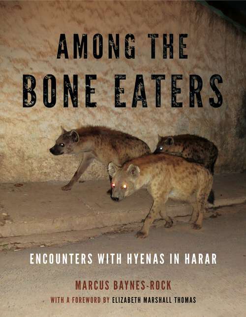 Book cover of Among the Bone Eaters: Encounters with Hyenas in Harar (Animalibus: Of Animals and Cultures #8)