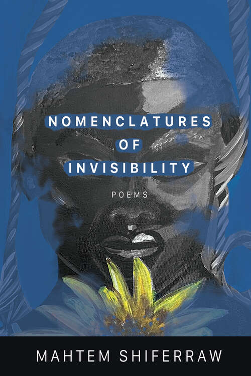 Book cover of Nomenclatures of Invisibility (American Poets Continuum Series #200)