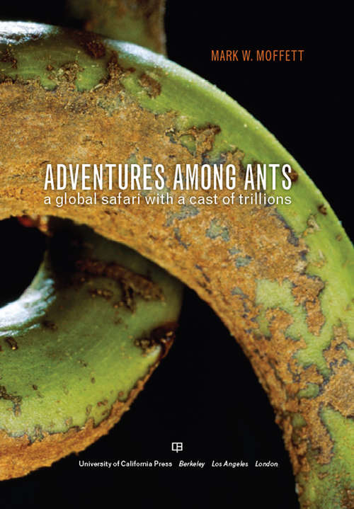 Book cover of Adventures among Ants: A Global Safari with a Cast of Trillions