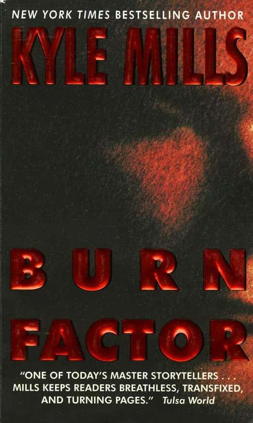 Book cover of Burn Factor