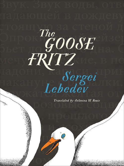 Book cover of The Goose Fritz