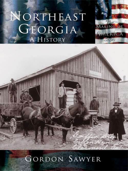 Book cover of Northeast Georgia: A History (Making of America)