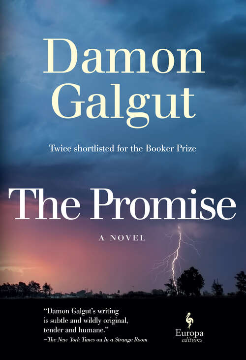 Book cover of The Promise: A Novel