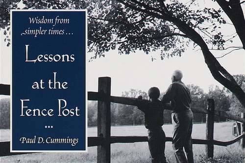 Book cover of Lessons at the Fence Post
