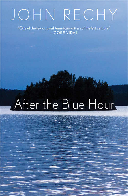 Book cover of After the Blue Hour (Books That Changed the World)