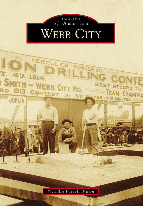 Book cover of Webb City