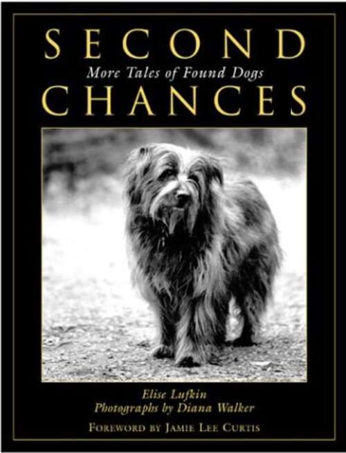 Book cover of Second Chances: More Tales of Found Dogs (Lyons Press Ser.)