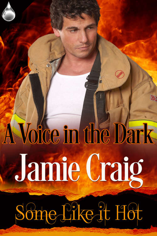 Book cover of A Voice In the Dark