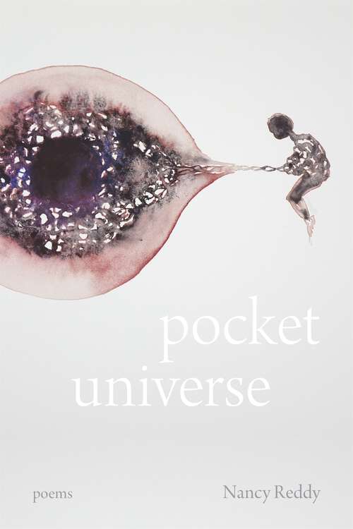 Book cover of Pocket Universe: Poems