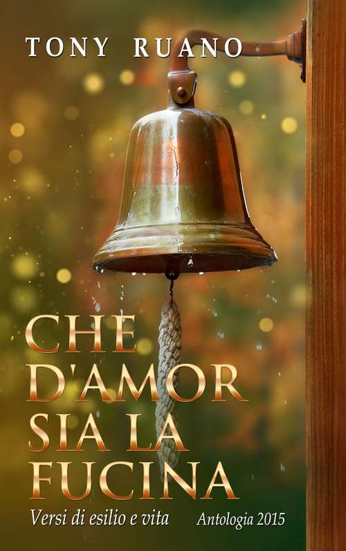 Book cover of Che d'amor sia la fucina