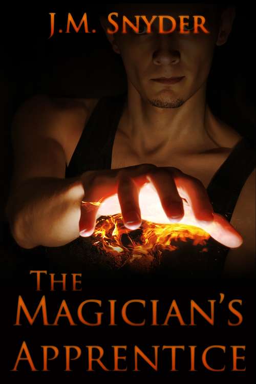 Book cover of The Magician's Apprentice