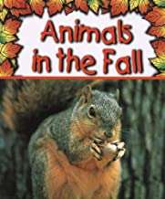 Book cover of Animals in the Fall (Preparing For Winter)